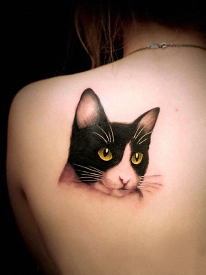 tuxedo cat tattoo.